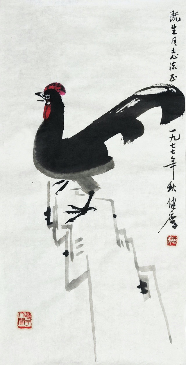 1977梅健鹰